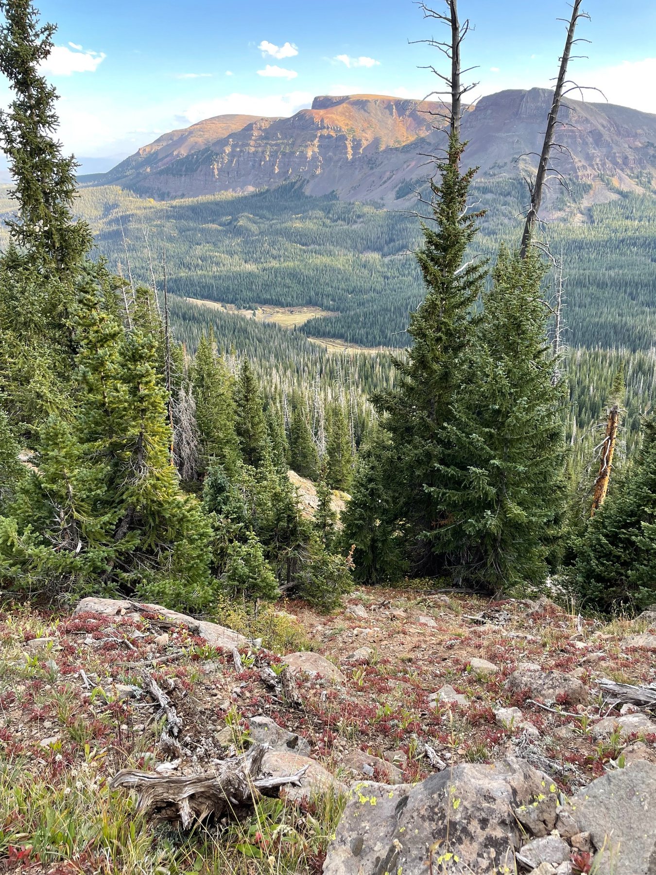 Colorado public land mountain terrain for elk hunting