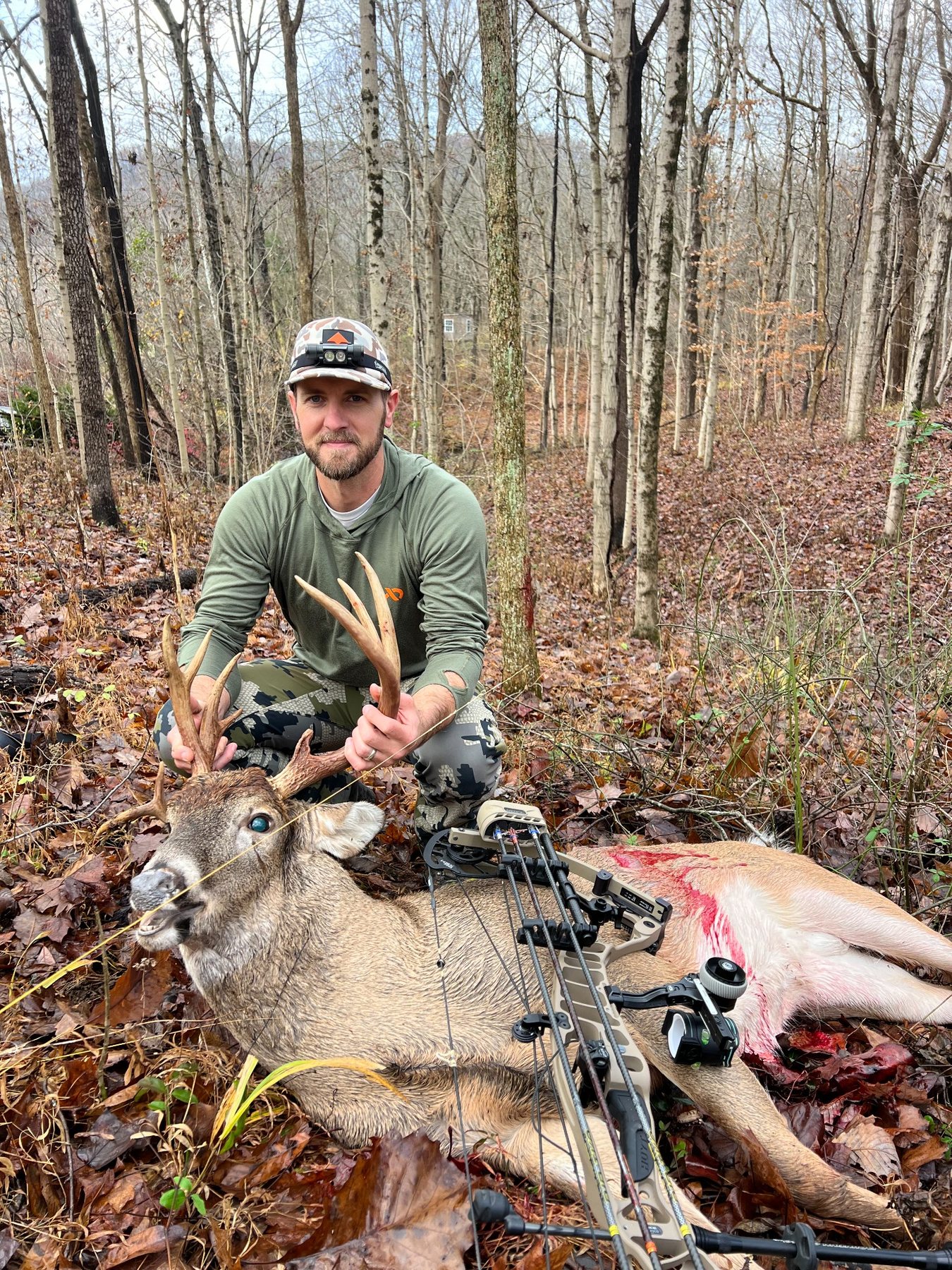 Whitetail harvest in wooded terrain